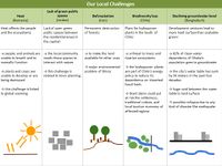 synopsis local challenges