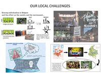 synopsis local challenges