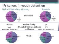Differences and similarities of youth in detention.jpg