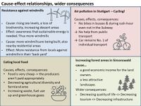 Cause-Effect Relationship / Wider Consequences