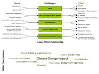cause-effect relationship/wider consequences