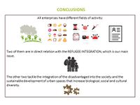 your conclusions (2)