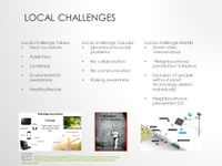 Synopsis Local Challenges