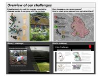 synopsis local challenges