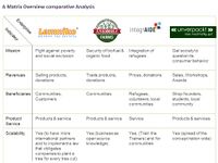 Your Comparative Analysis / Matrix