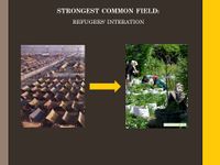 our common interest field