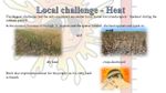 Florina's challenge