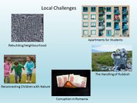 Local challenges synopsis